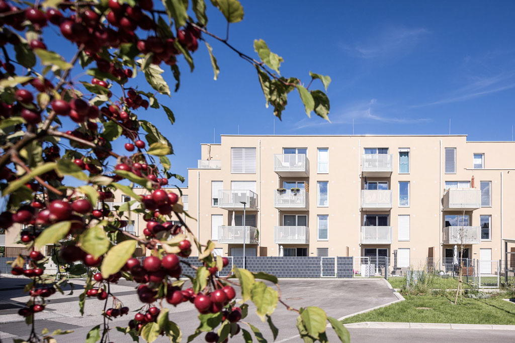 Neubau eines Wohngebäudes in Niederösterreich, Akademiepark, Juni 2022 - Ansicht Süd – LCB Planung GmbH.