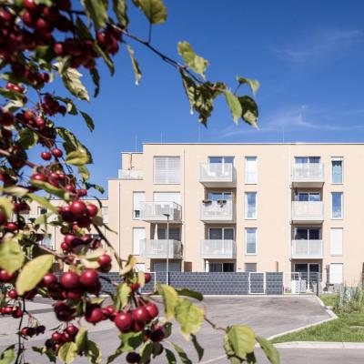 Akademiepark, Ansicht - Süd - LCB - Planung GmbH.